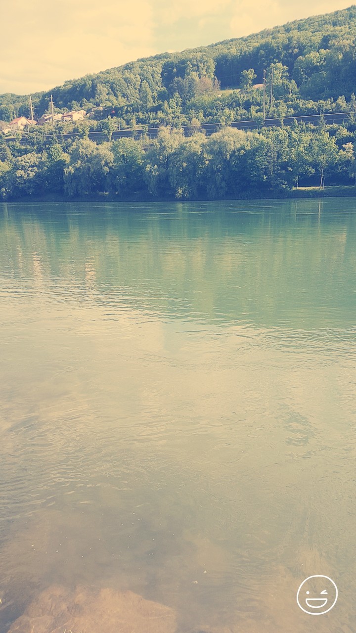 rhein