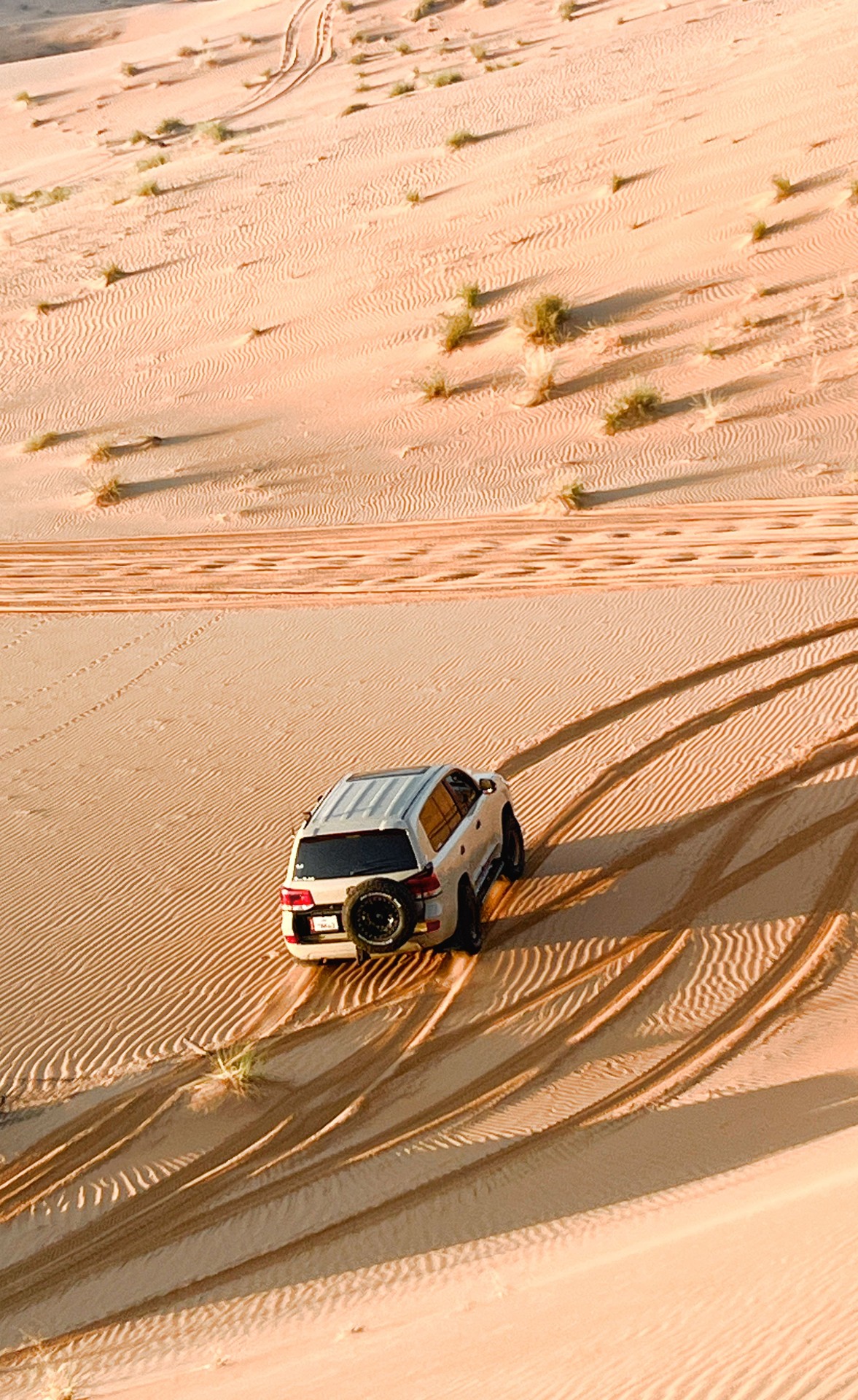 Sand, Dune duvar kağıtları