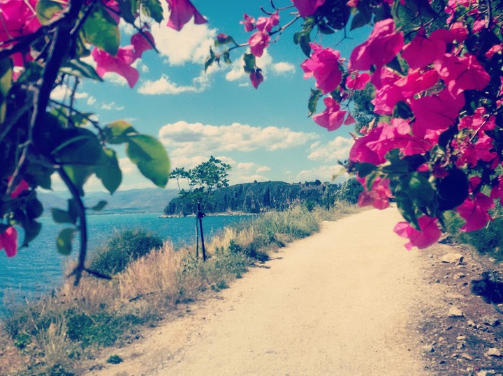 seaside flowers