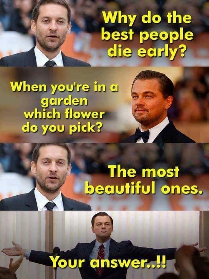hahaha great ✌✌♥️♥️❣️❣️❣
