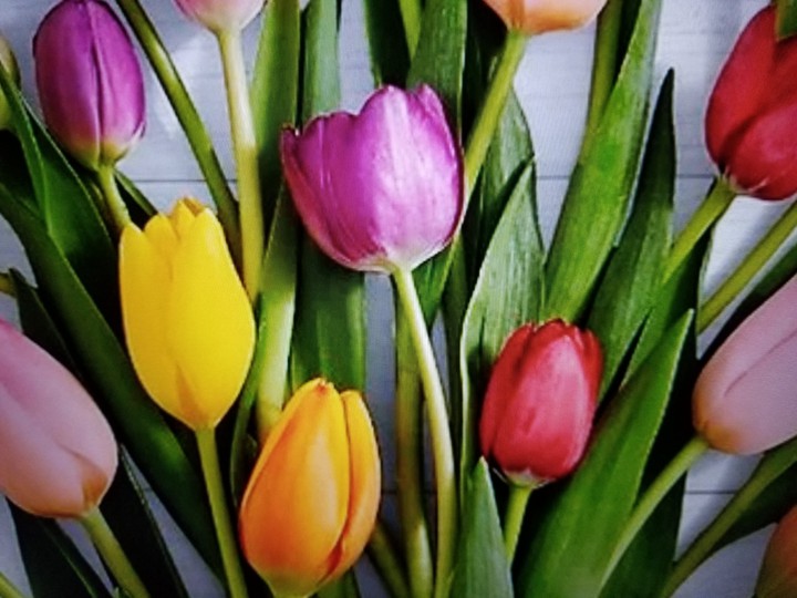 flowers