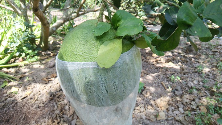 một mình