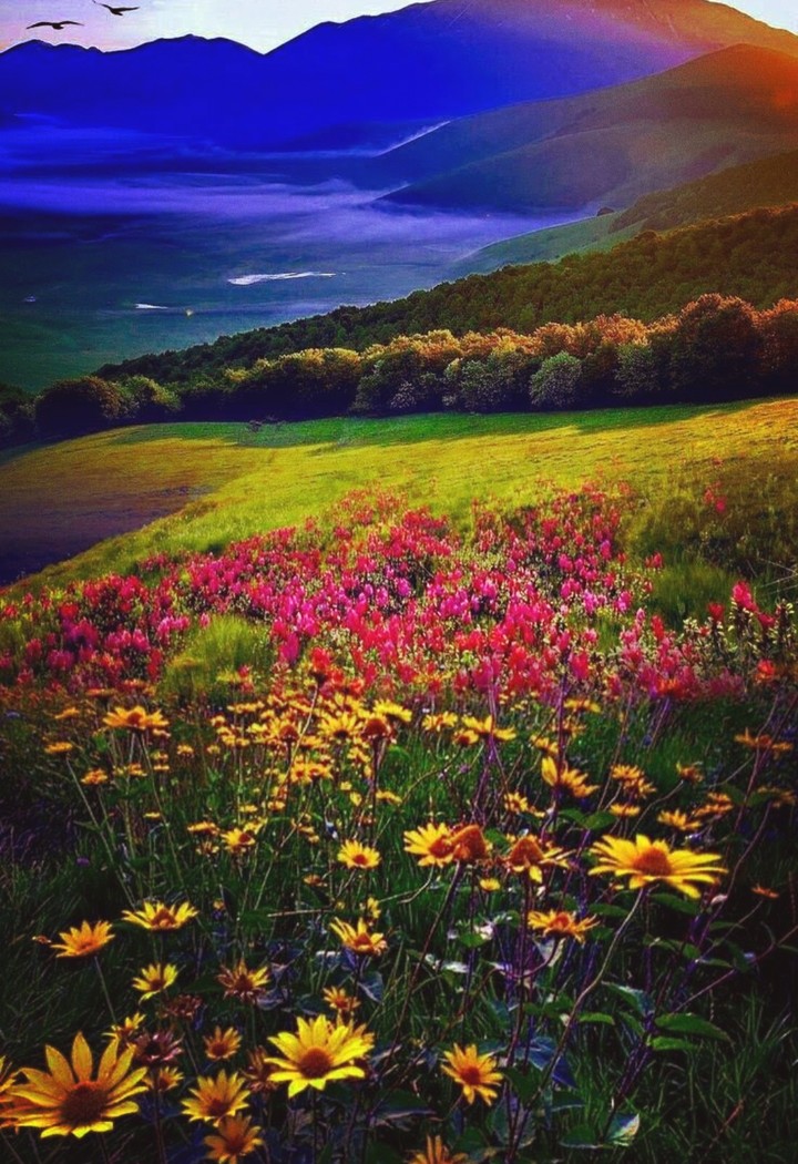 nature