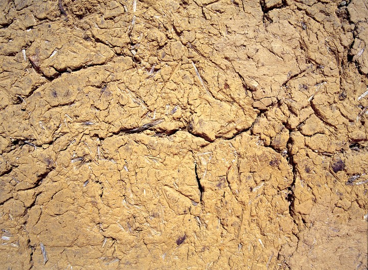 Wall