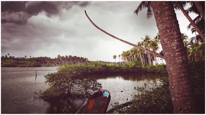 backwater
