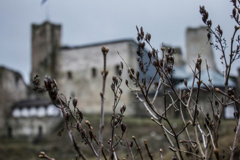 Castle