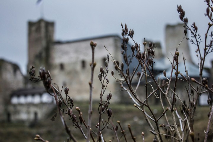Castle