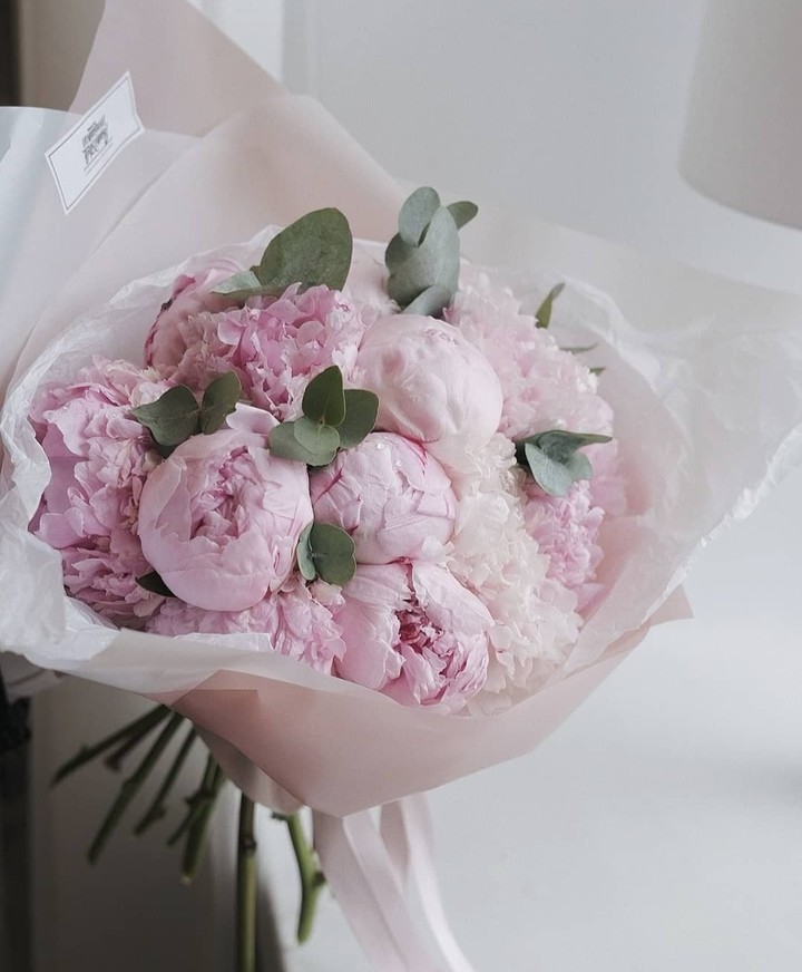 pink peonies