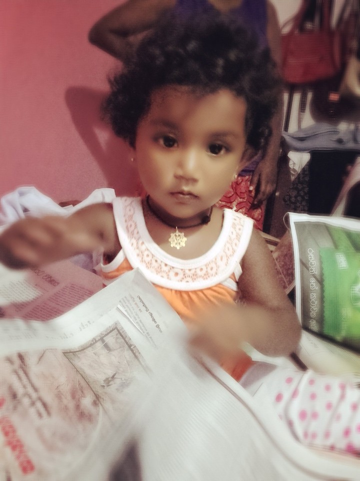 gans