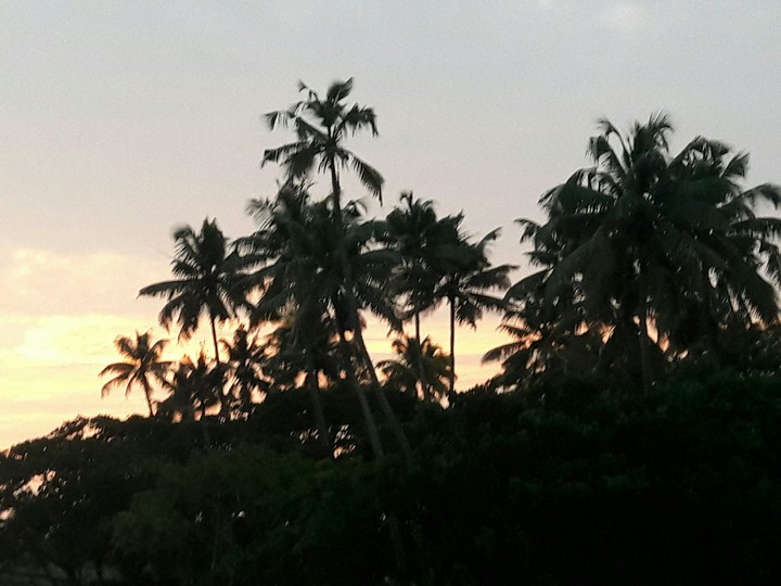 evening backwaters