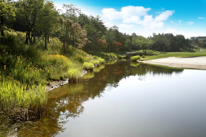 Golf Course