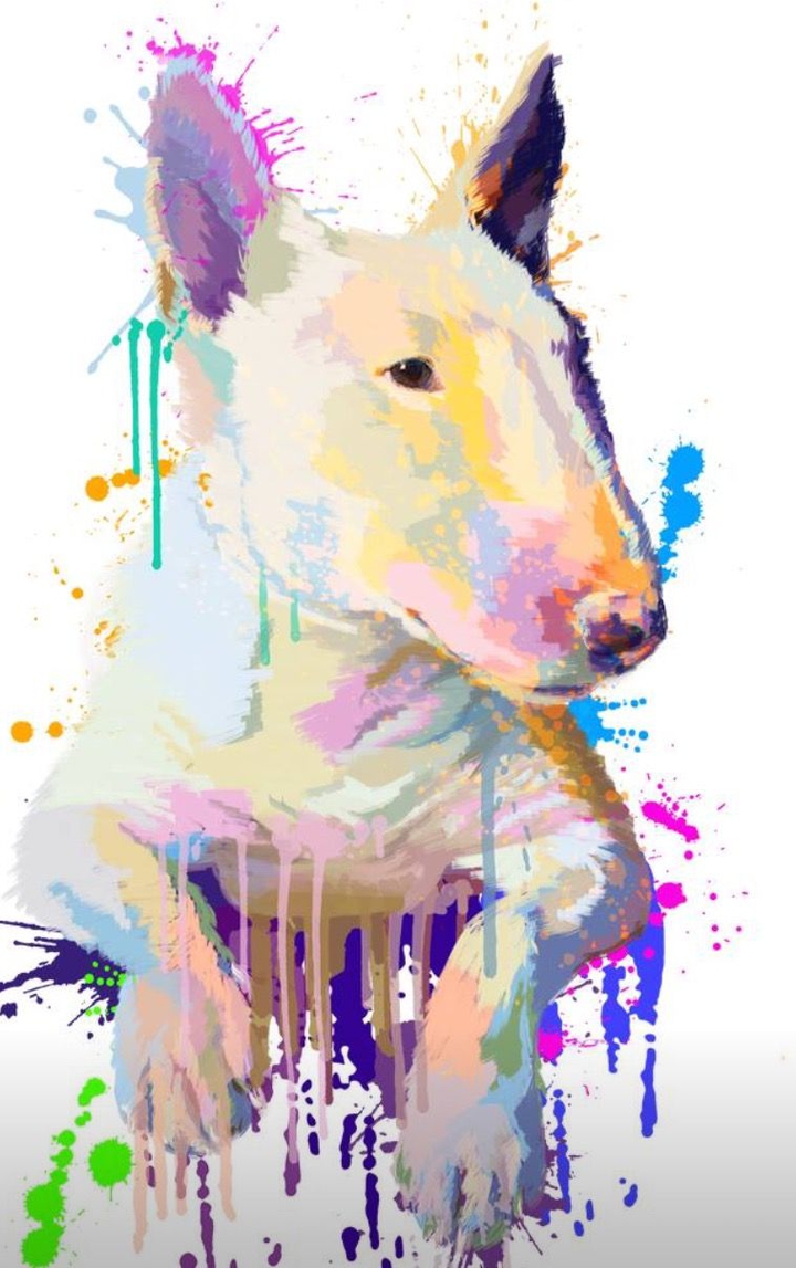 bullterrier painting