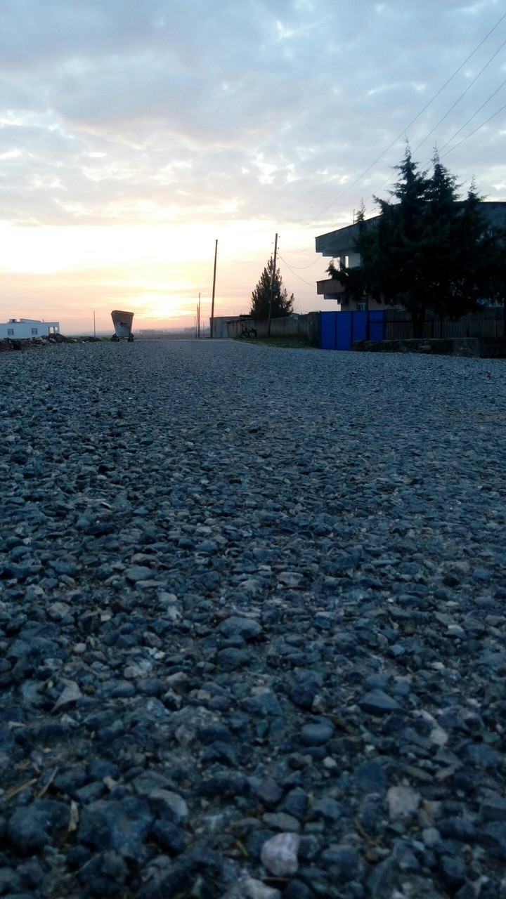 Doğa