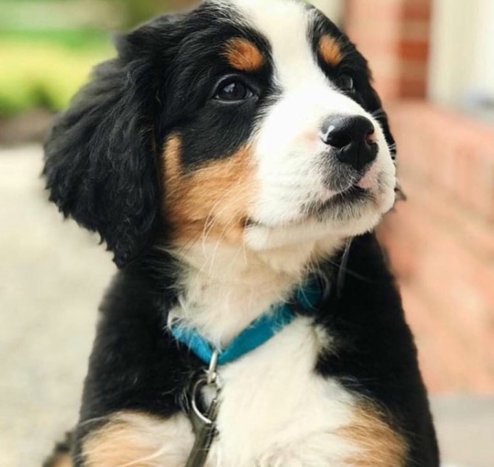 ⭐❤⭐