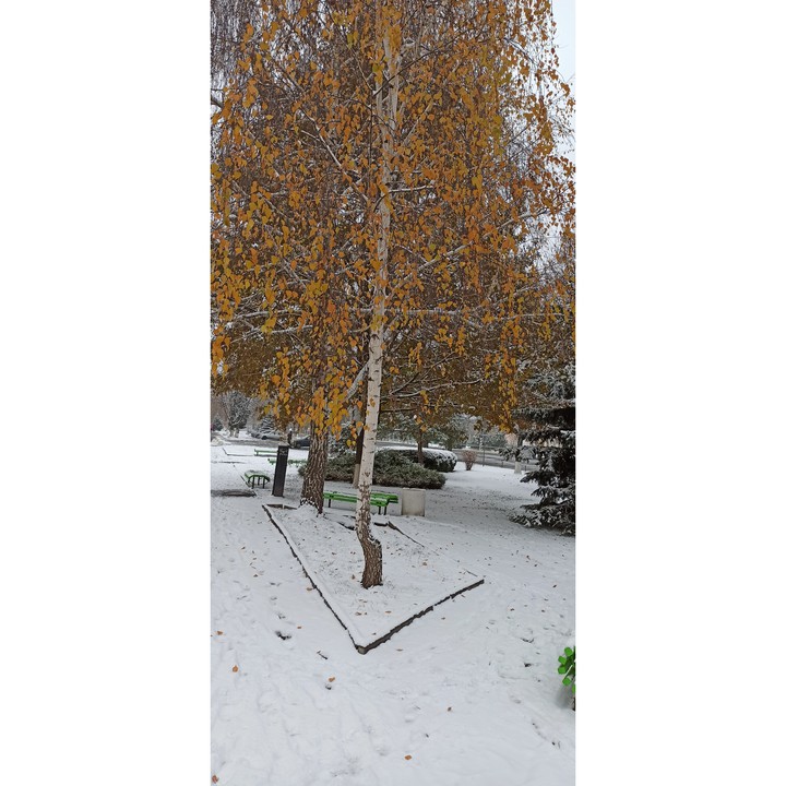 #Україна #осінь #autumn