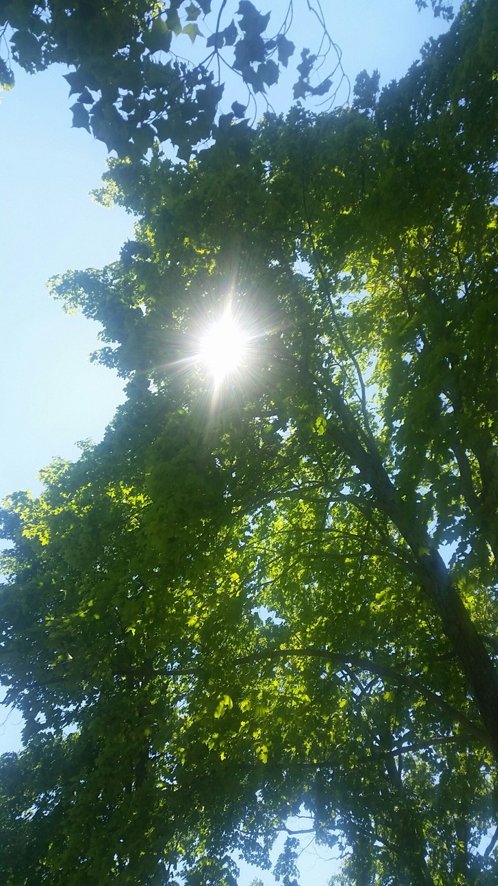 the sun again...