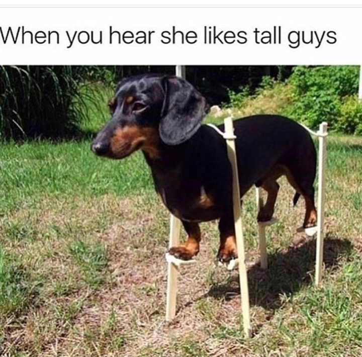 et