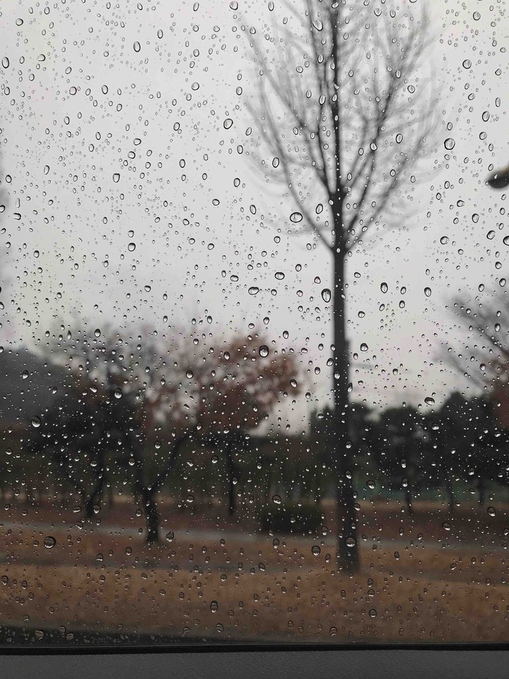 rainy day