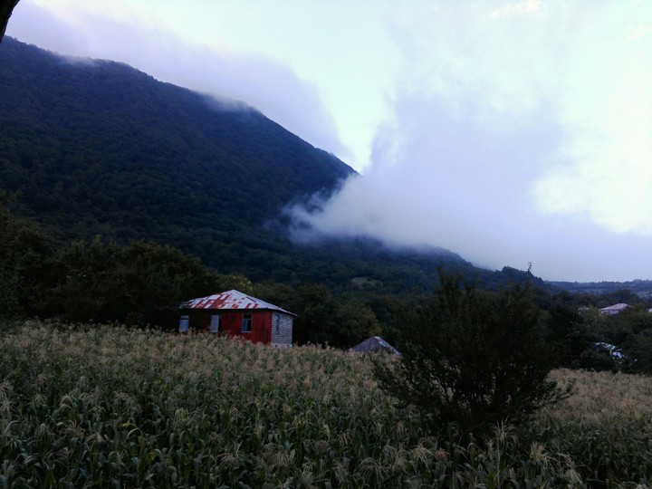 Mountain