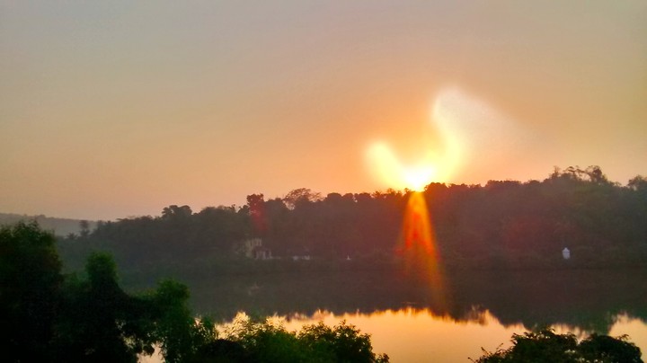 sunrise like swan