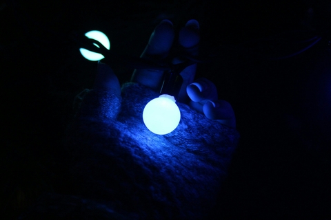 Light in garland