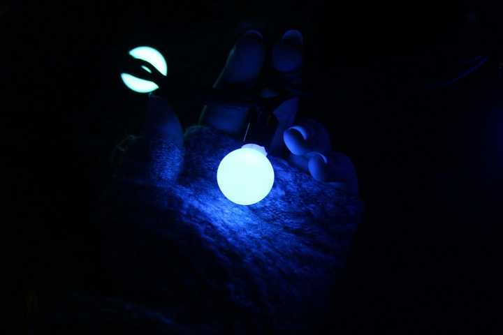 Light in garland