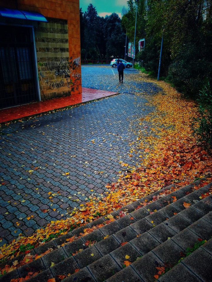 a rainy day