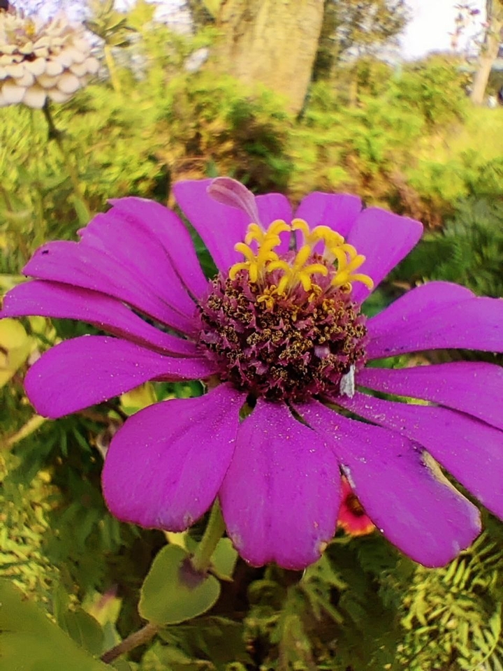 CloseUp