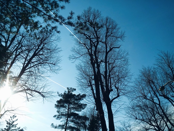 Sky