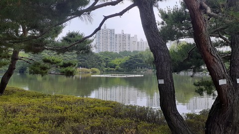 네모⬛ square