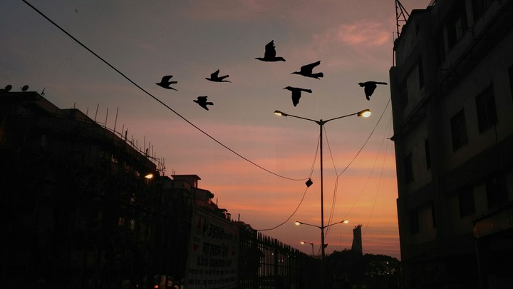 evening walk at marine drive