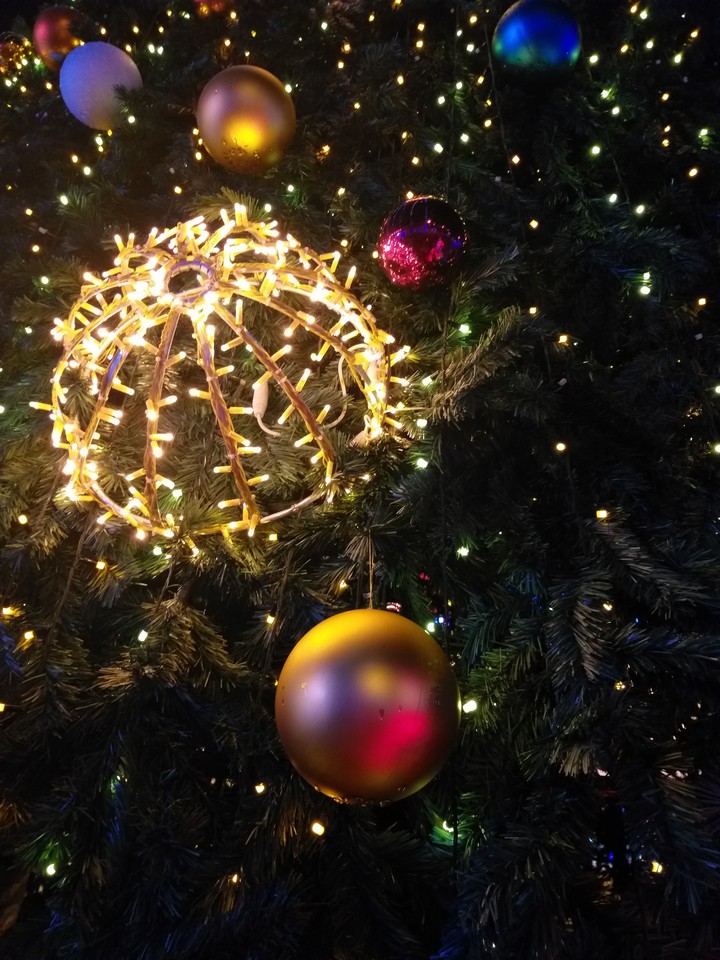 Happy New Year