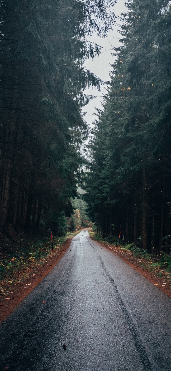 choose the right path...