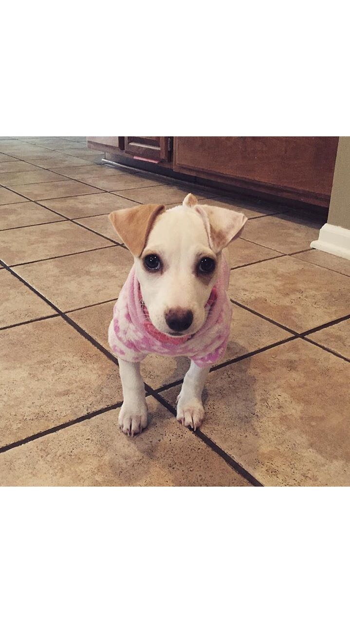 #DOG4LIFE