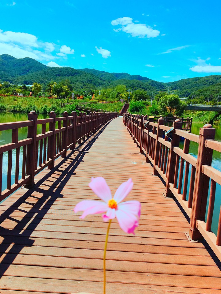 bridge