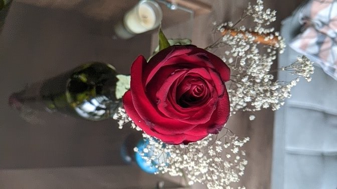 Una rosa para ti