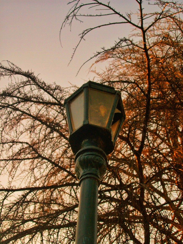 Park