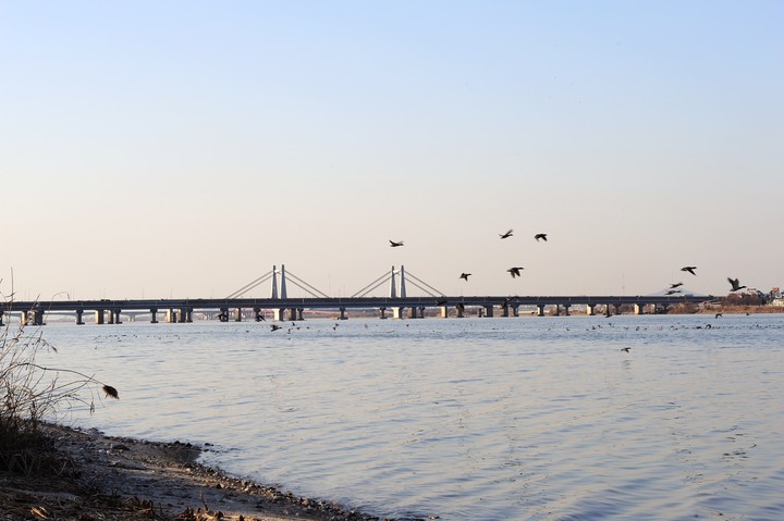 Bridge