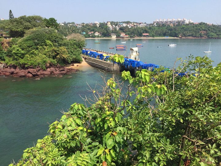 goa