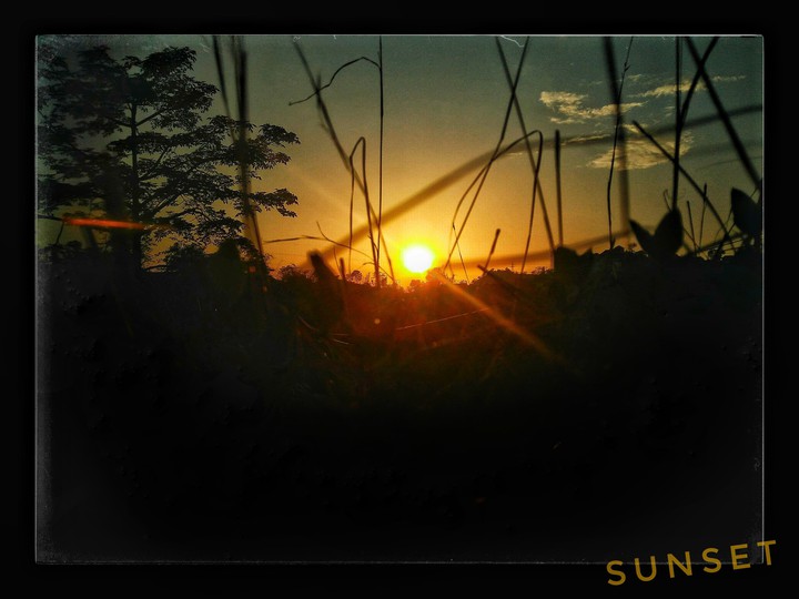 sunset