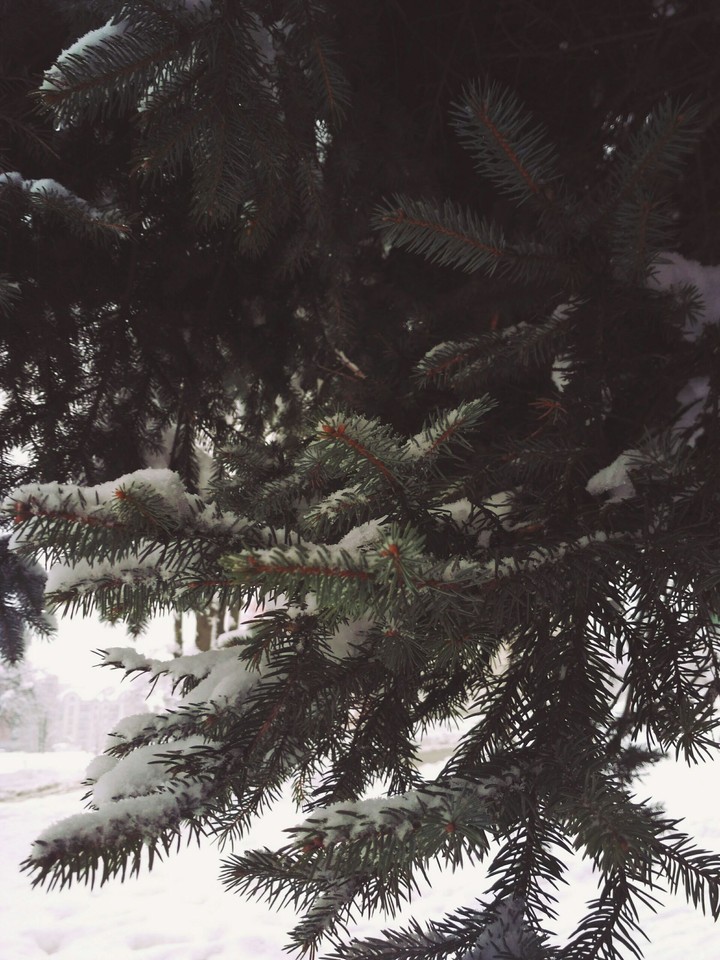 Winter