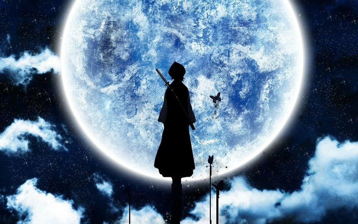 If u love Bleach!!