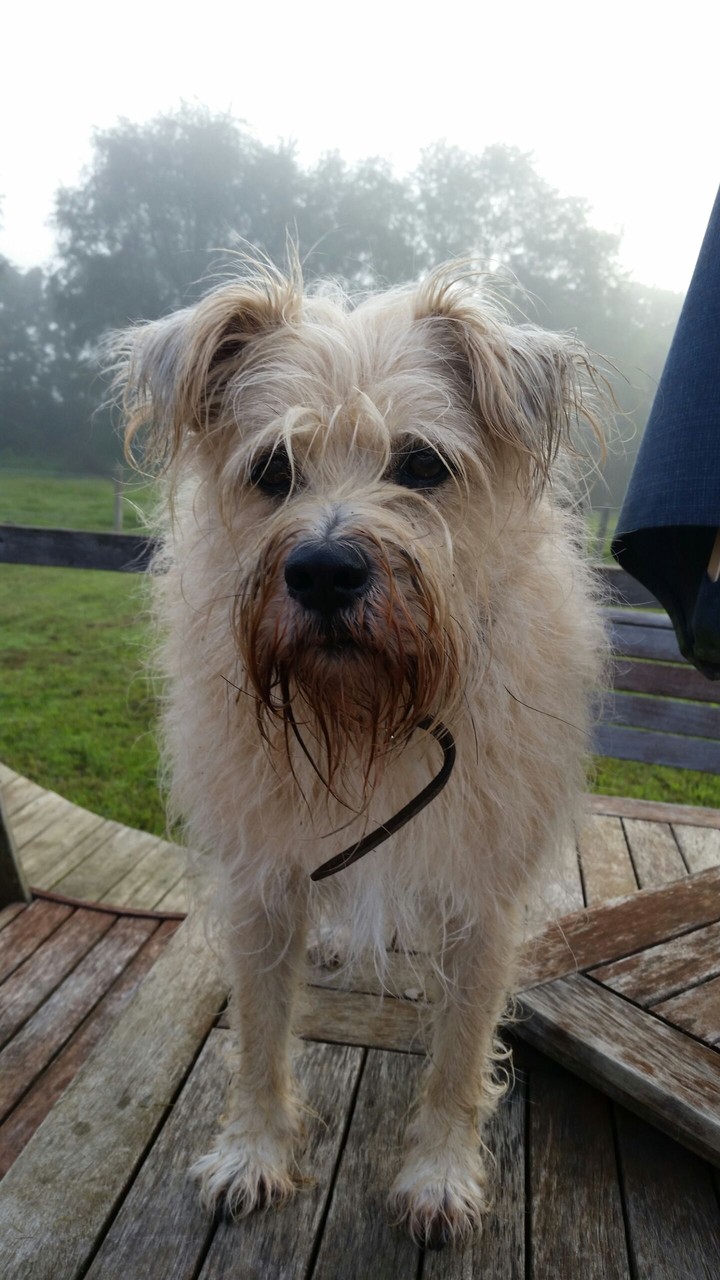wally