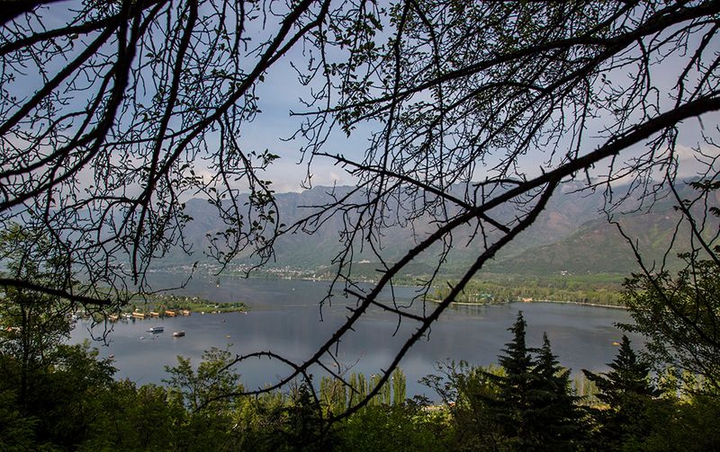 Dal Lake - Srinagar