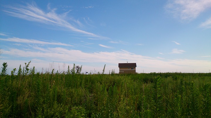 Meadow