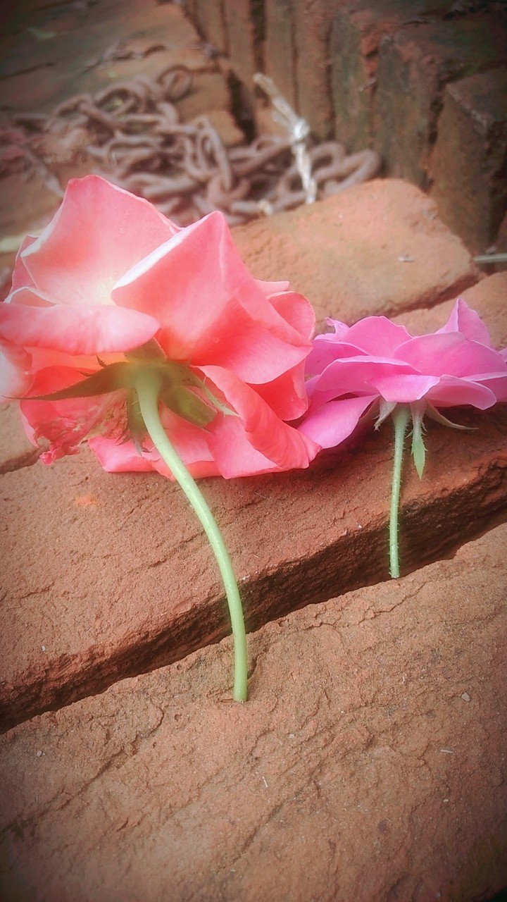 make for each orther ...
