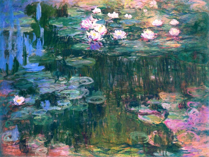 Water lily
