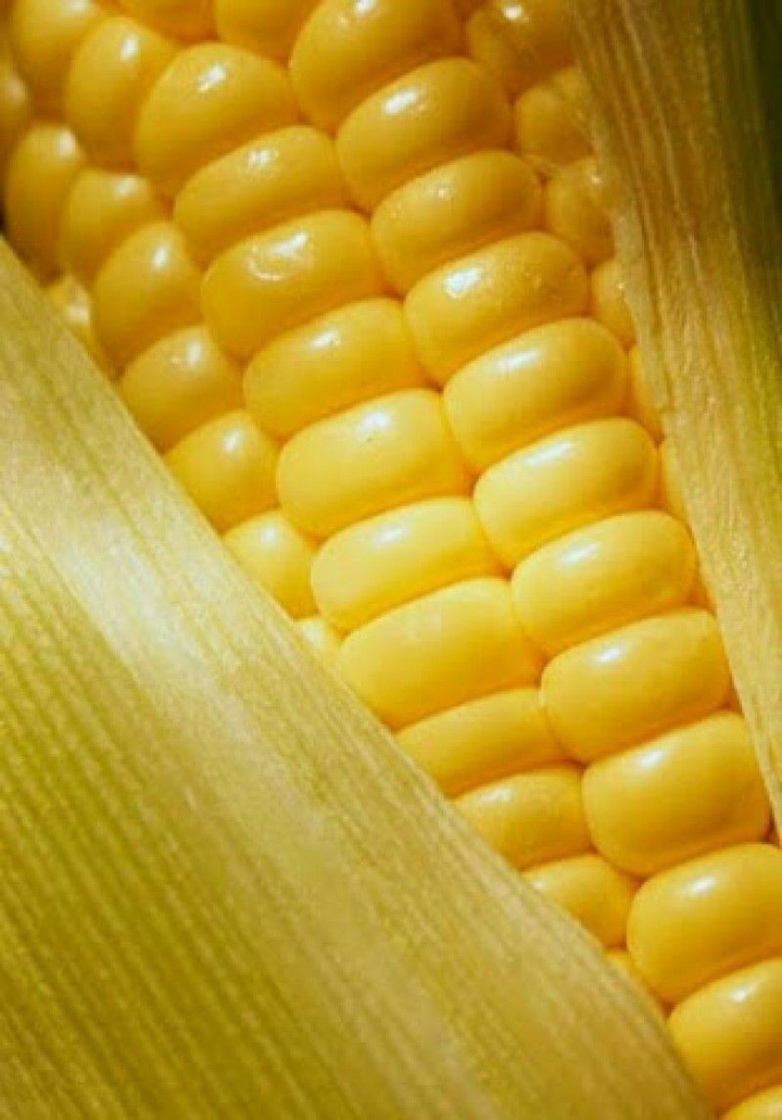 Corn