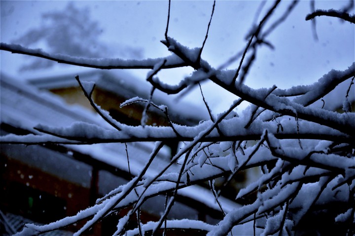 ice