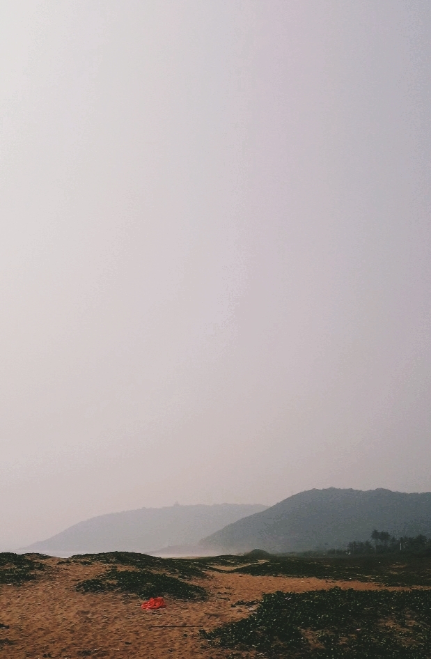 Fog❤️
